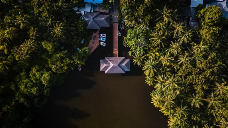 Maldives Diving in February: High Season in the Deep South