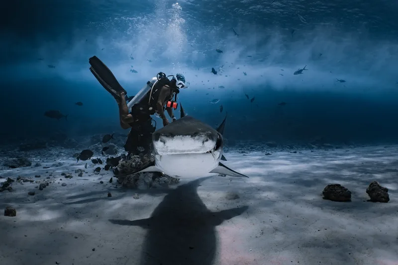 Fuvahmulah Diving Cost: The Full 2026/27 Price Breakdown