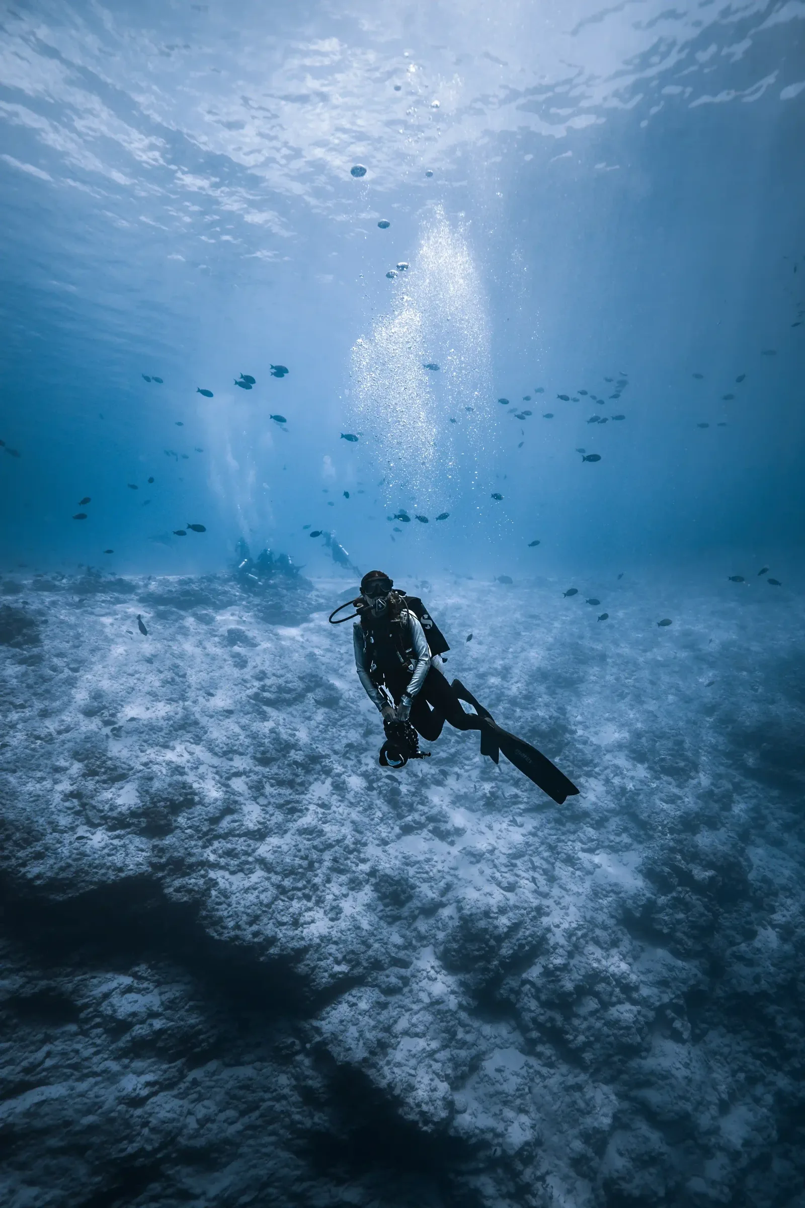 Pack Expedition - Gallery image 1