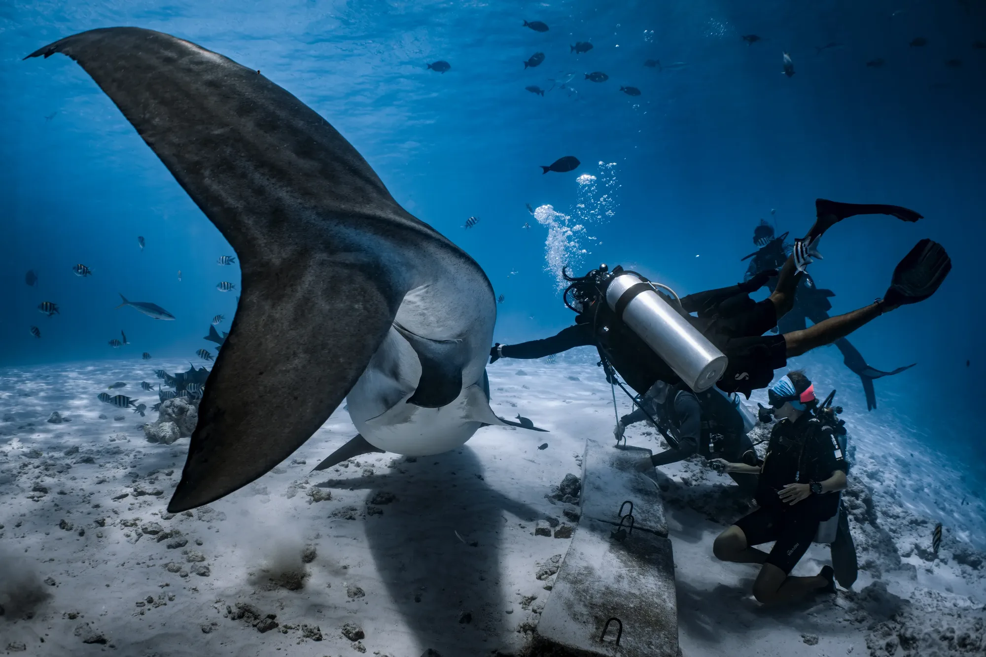 How to Master Buoyancy Control: 9 Fixes That Actually Work
