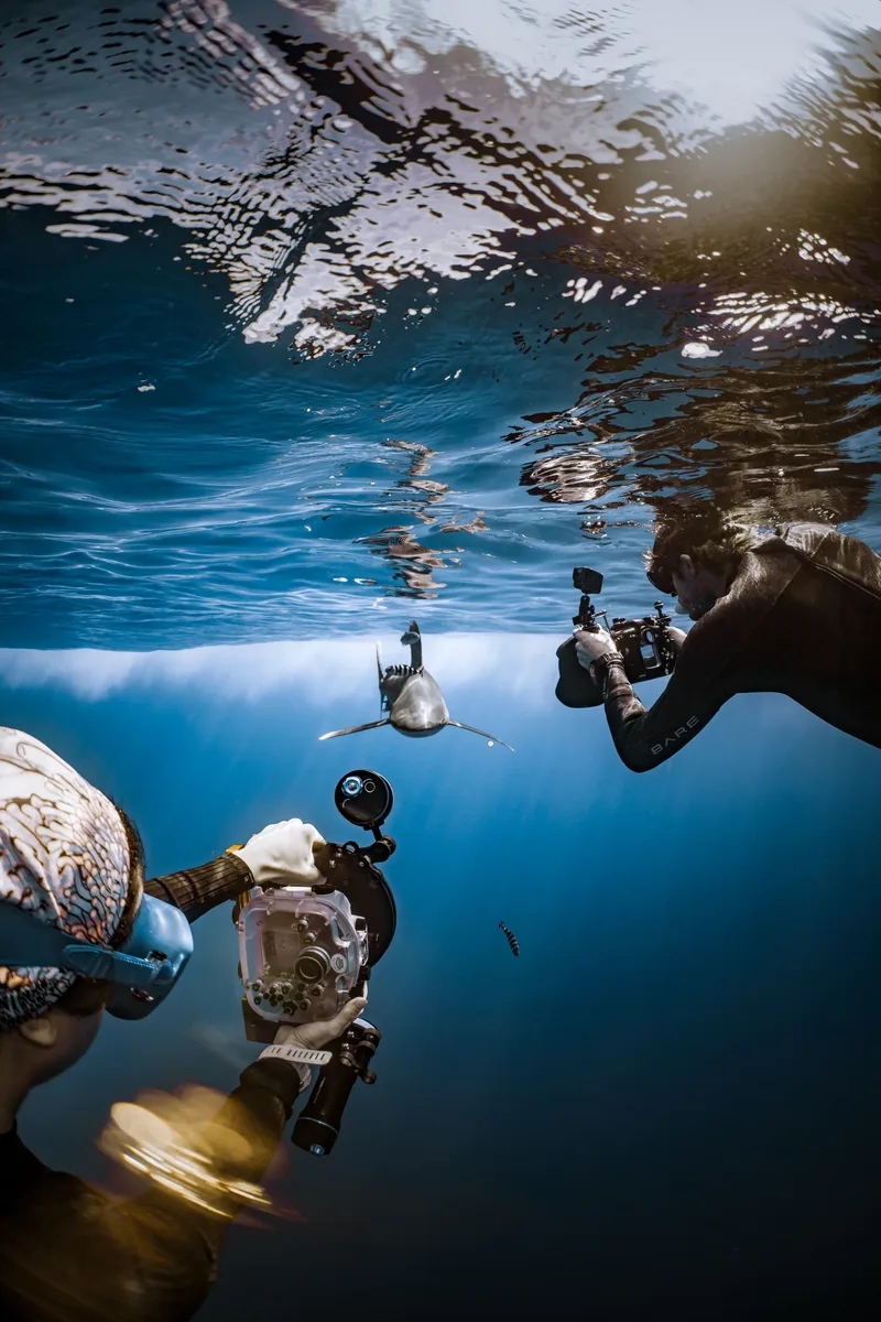 Underwater Photography for Beginners: What I Teach on Day One