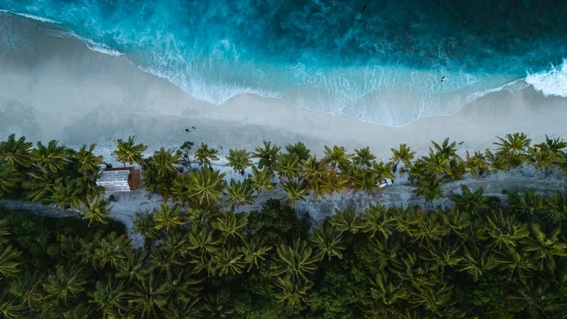 What to Pack for Fuvahmulah: The Local-Island Dive Trip Checklist